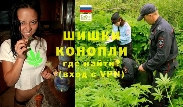 дурь Алексеевка